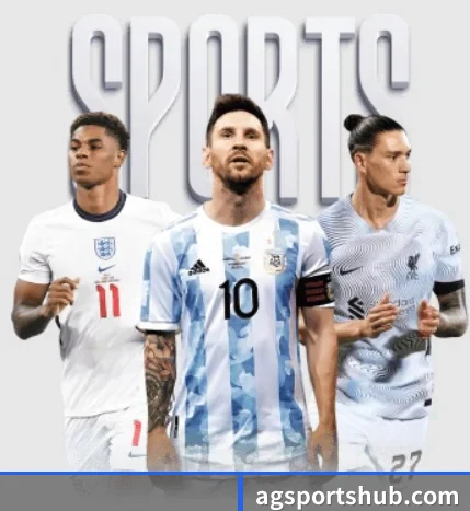 五大服务分区,信息按项目分类
