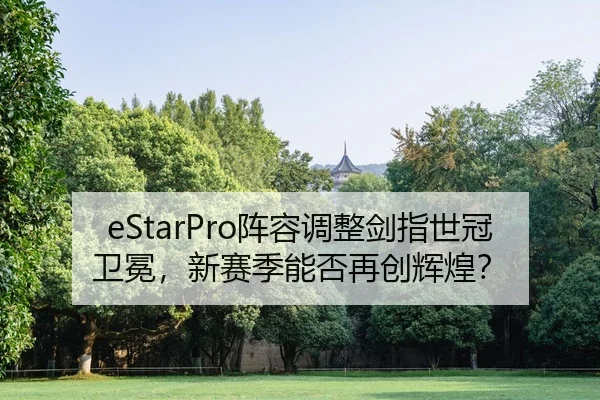 zhen-rong-tiao-zheng-jian-zhi-shi-guan-wei-mian-xin-sai-ji-neng-fou-zai-chuang-hui-huang-2-382.jpg
