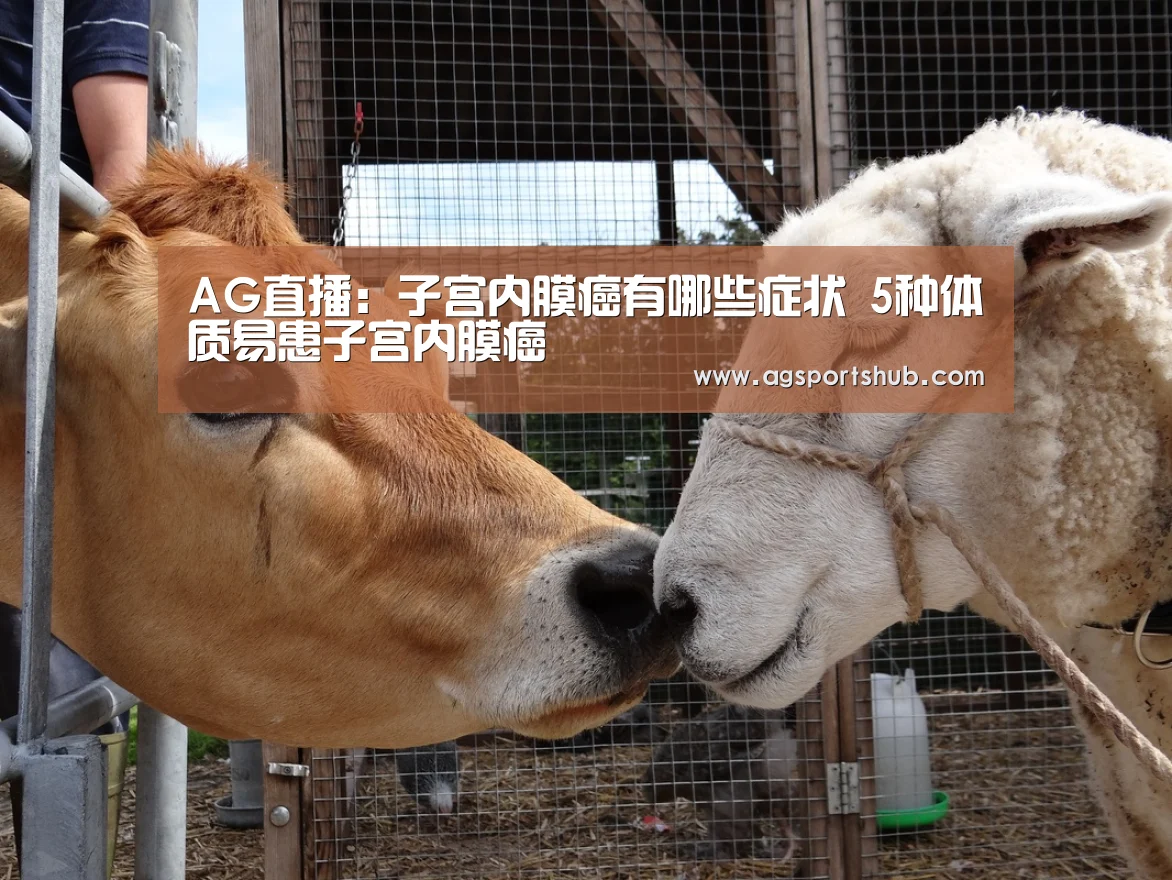 AG视讯
