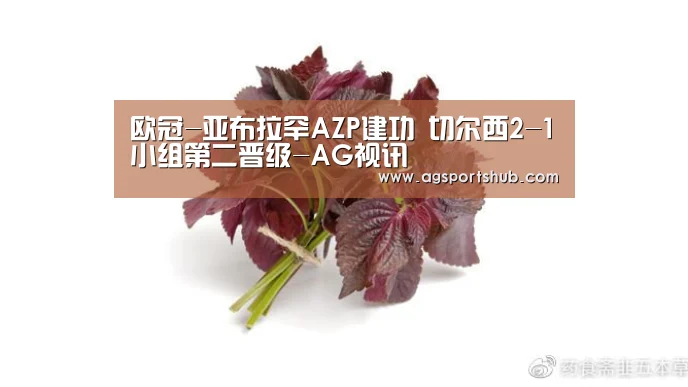 AG百家乐